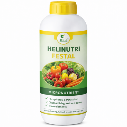 Helinutri Festal