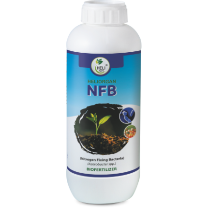 Heliorgan NFB