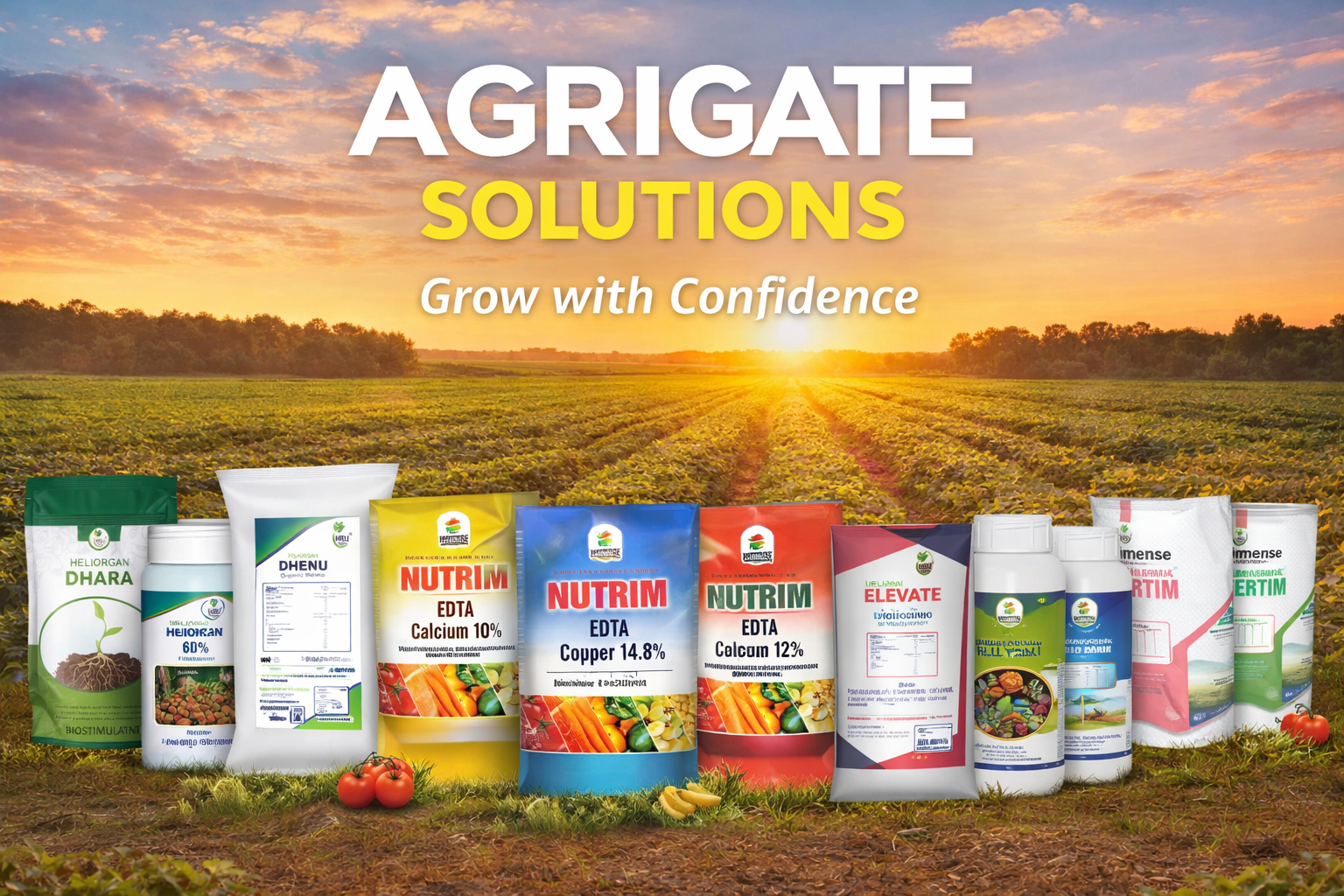 acaae294-bf2c-4da5-bfa1-49f252da1330